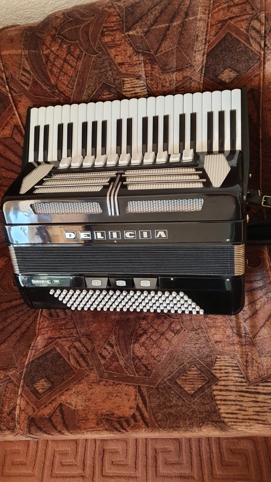 Delicia Choral VI met cassotto, Muziek en Instrumenten, Accordeons, Overige merken, Met koffer, Ophalen of Verzenden, Zo goed als nieuw