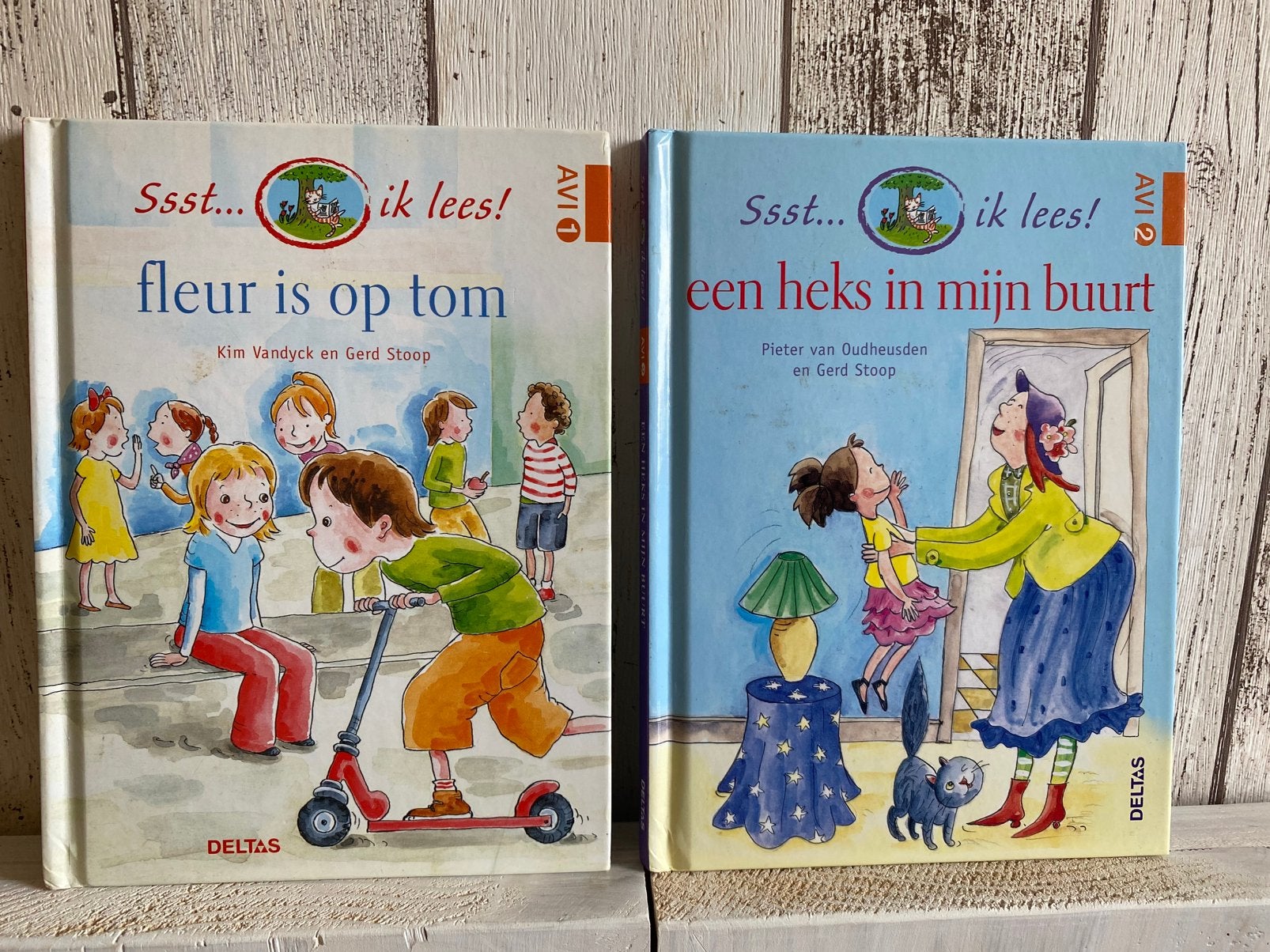 Ssst ik lees Een heks in mijn buurt, Gelezen, Fictie algemeen, Ophalen of Verzenden, Pieter Oudheusden