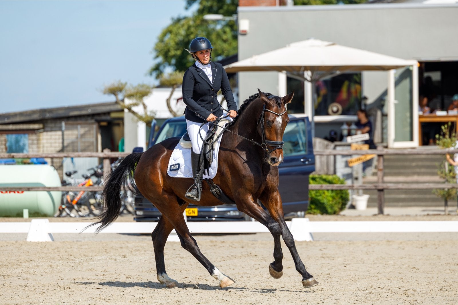 Grote mooie 6 jarige ruin van For Gold x Olivi, Met stamboom, Ruin, Dressuurpaard, L