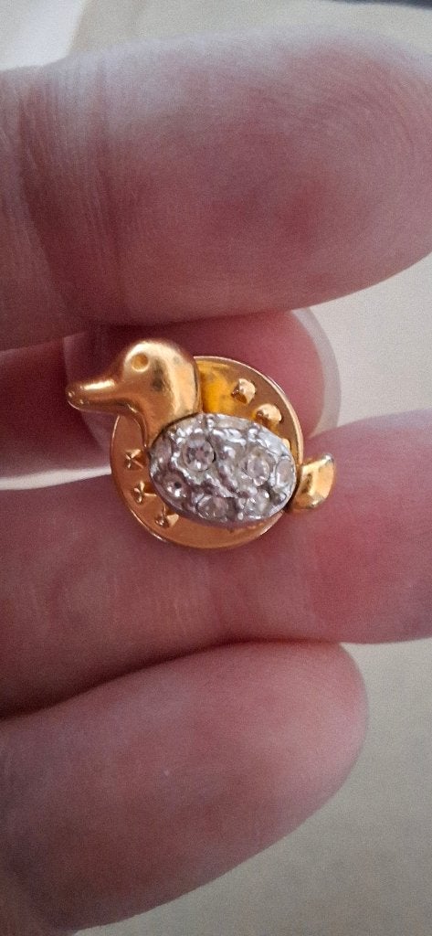 Vintage Pins Pins Pins Eend En Vis Met Strass, Onbekend, Ophalen of Verzenden, Zo goed als nieuw, Speldje of Pin