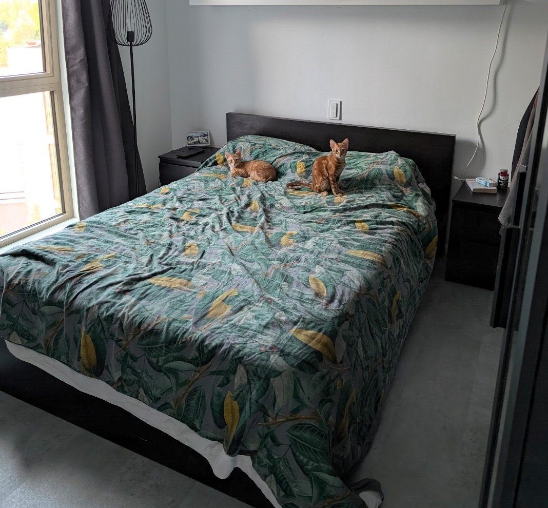Ikea Malm bed + Hovag mattress (140x200 cm), Ophalen, Tweepersoons, 140 cm, Zo goed als nieuw