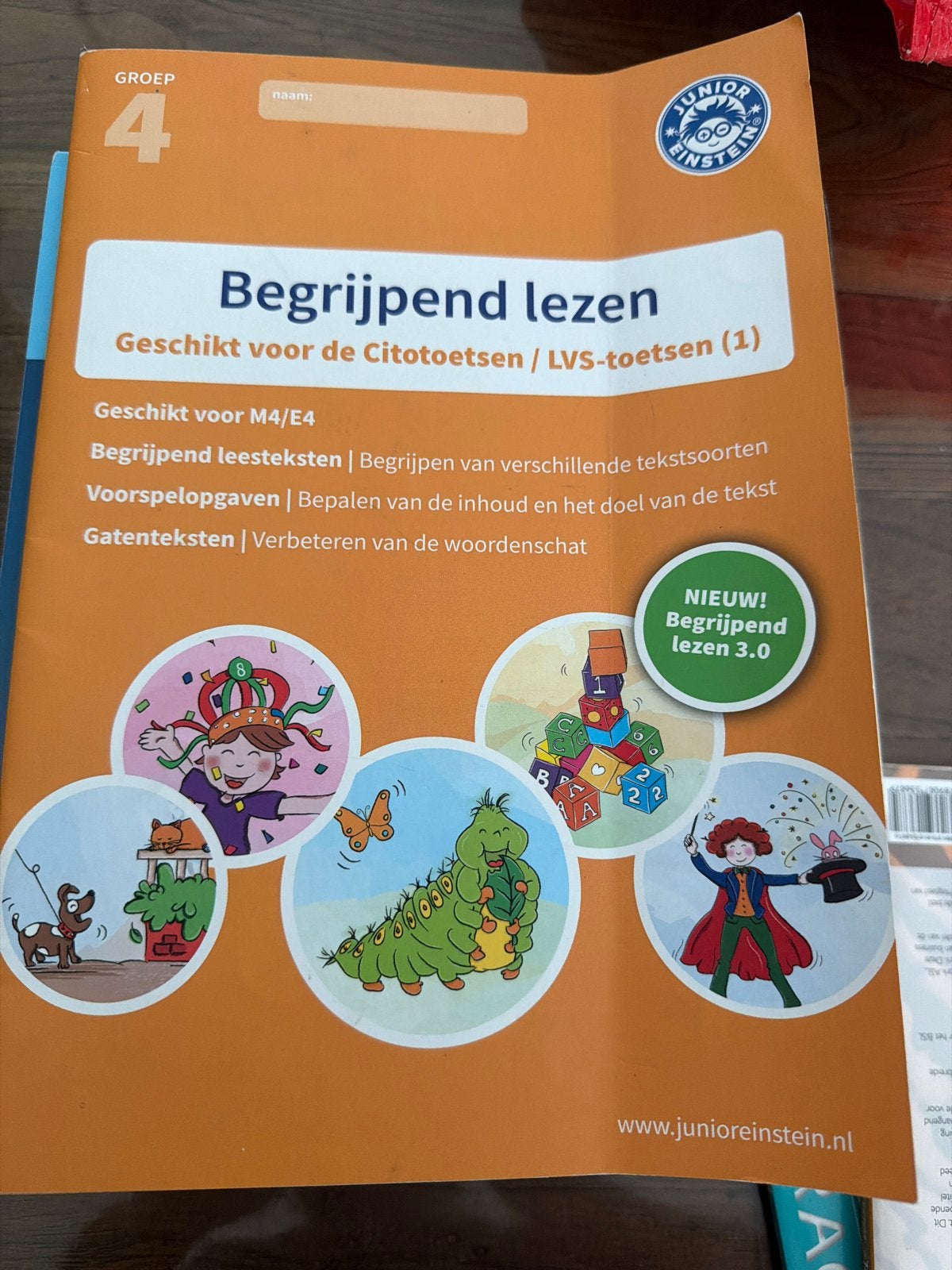 Junior Einstein Begrijpend Lezen Groep 4 (Nieuw), Boeken, Ophalen of Verzenden, Nieuw, Overige niveaus, Nederlands