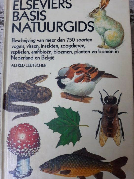 Elseviers Basis Natuurgids, Ophalen of Verzenden, Gelezen, Bloemen, Planten en Bomen