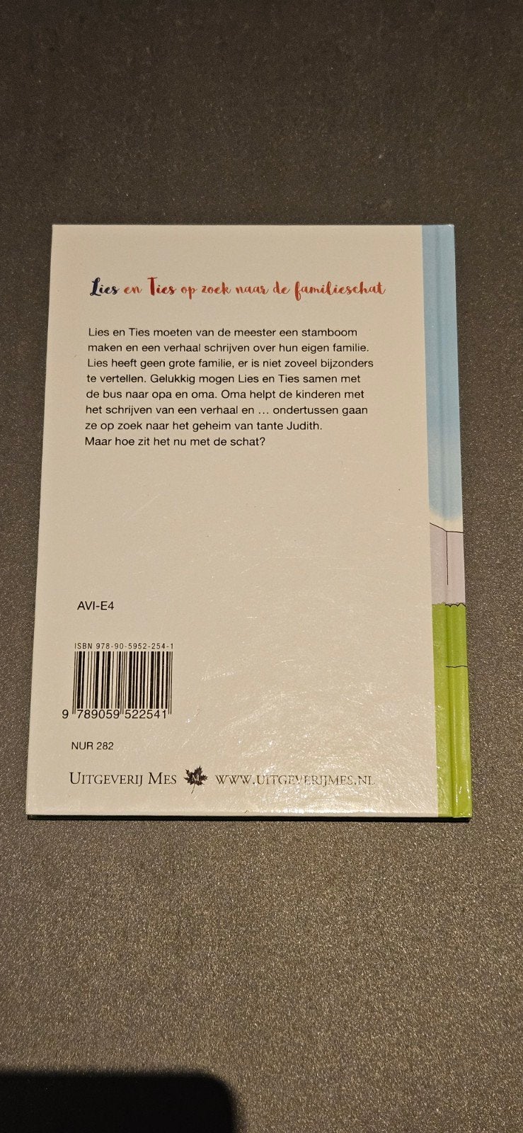 Lies en Ties op zoek naar de familieschat, Fictie algemeen, Ophalen of Verzenden, Zo goed als nieuw, Marian Schalk-Meijering