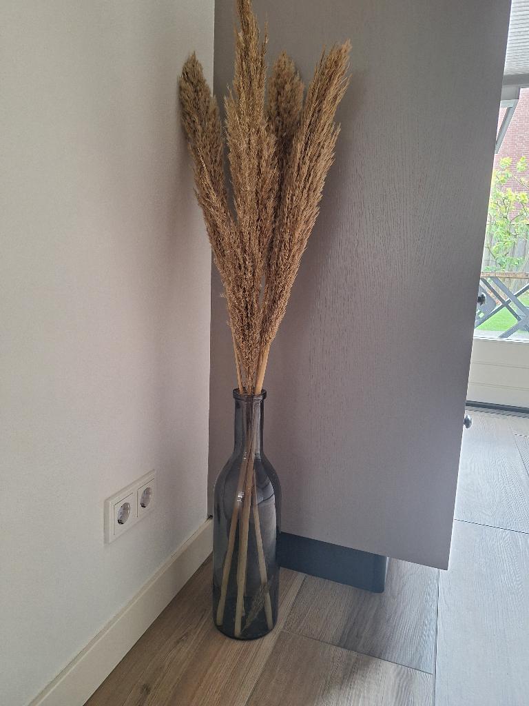 Vaas met pluimen, Huis en Inrichting, Woonaccessoires | Vazen, Ophalen, Overige kleuren, 50 tot 75 cm, Glas