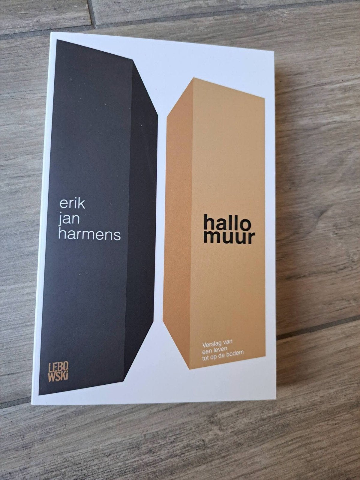 Autobiografische roman Hallo muur van Erik Jan Harmens, Ophalen of Verzenden, Gelezen