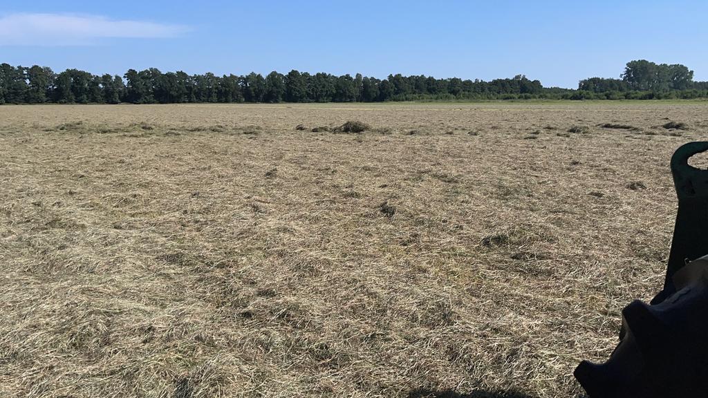 Hooi Paardenhooi