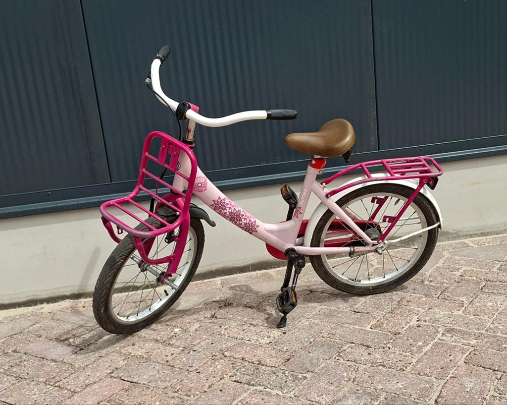 18 inch meisjesfiets, Fietsen en Brommers, Ophalen, Gebruikt, 18 inch, Alpina