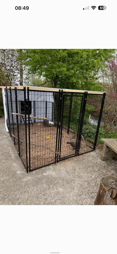 Nestera kipen nachthok L met ren en 5 kippen, Dieren en Toebehoren, Pluimvee, Meerdere dieren, Kip