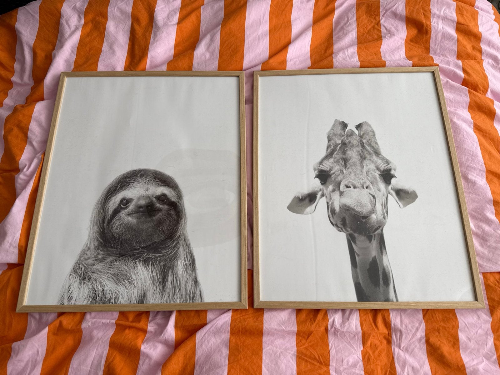 IKEA posters met Action wissellijsten A3, Ophalen of Verzenden, Met afbeelding, Meerkleurig, Hout