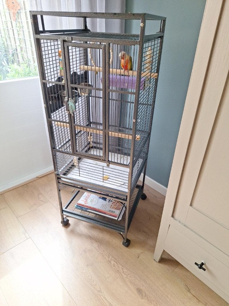 Vogelkooi, Geslacht onbekend, Parkiet