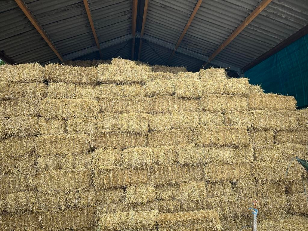 Stro Kleine Strobalen stro pakjes te koop, Ophalen