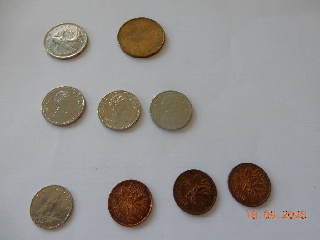 Munten Canada collectie, Ophalen of Verzenden, Noord-Amerika, Losse munt