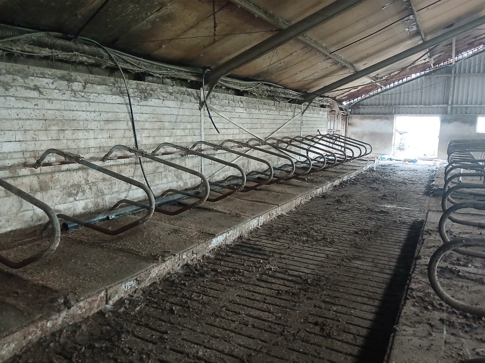 Inventaris stal, melkvee ijzer boxen eenlingboxen