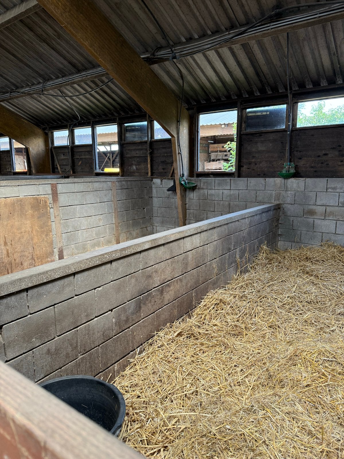 3 stallen beschikbaar in Berkhout voor A tot D pony’s, Weidegang