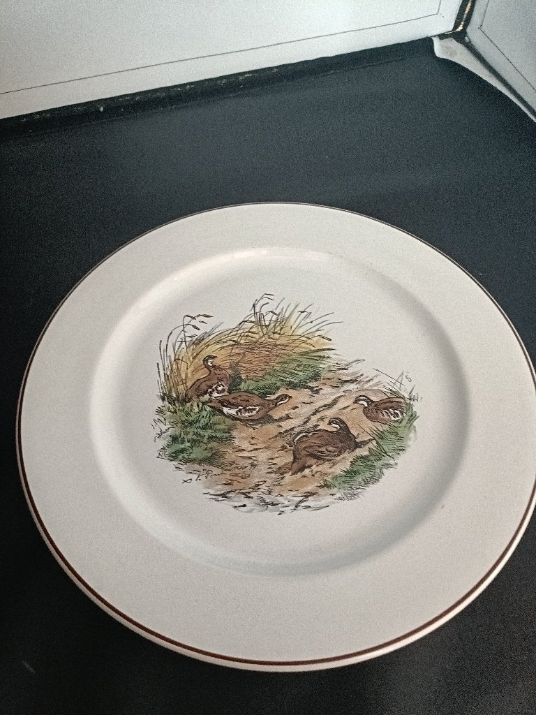 plat dinerbord fotainebleau, Ophalen of Verzenden
