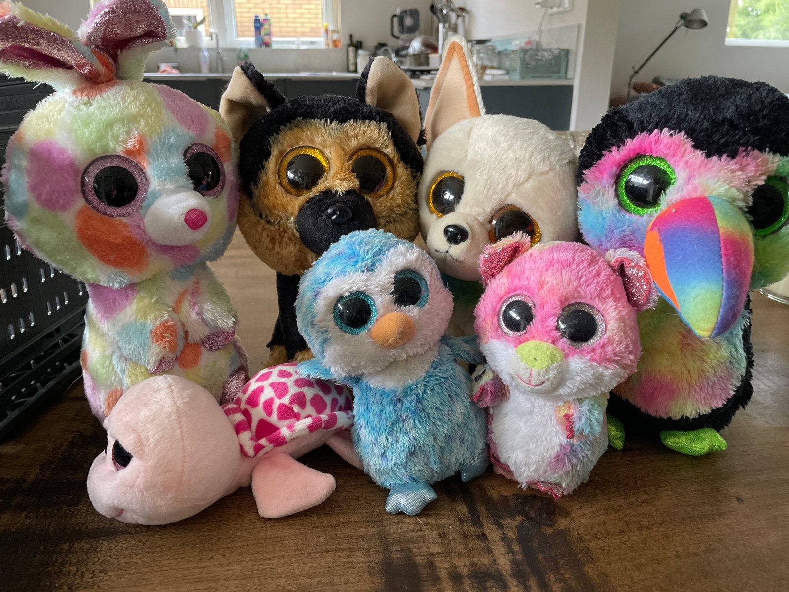 collectie Ty Beanie Boo's knuffels, Ophalen, Konijn, Middelgroot (20 tot 80 cm), Meerkleurig