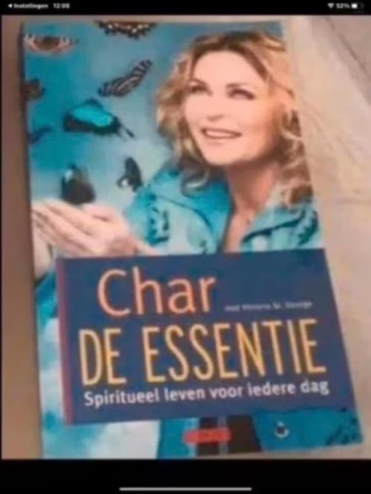 De essentie Boek van Char Margoli, Boeken, Verzenden, Zo goed als nieuw, Spiritualiteit algemeen, Overige typen