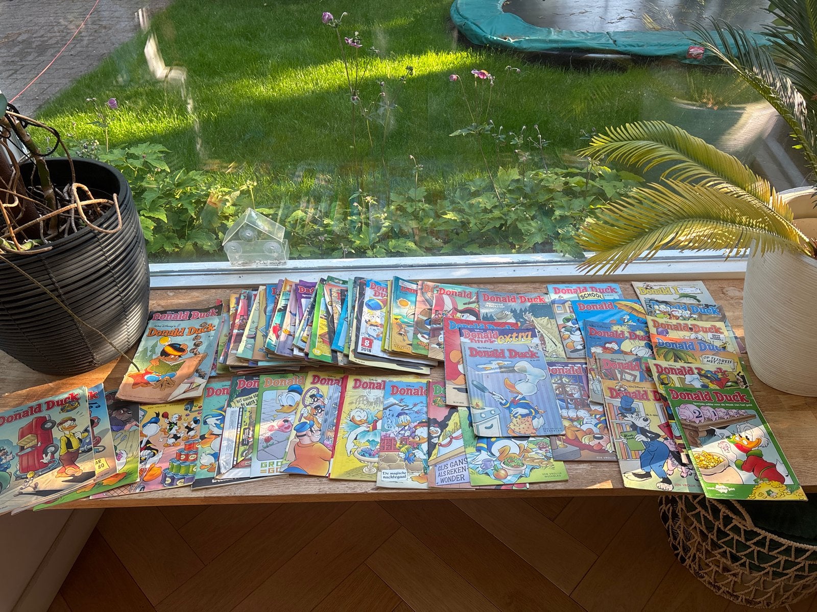 Donald Duck stripboeken - ongeveer 70 stuks, diverse jaren, Boeken, Stripboeken, Meerdere stripboeken, Ophalen, Gelezen