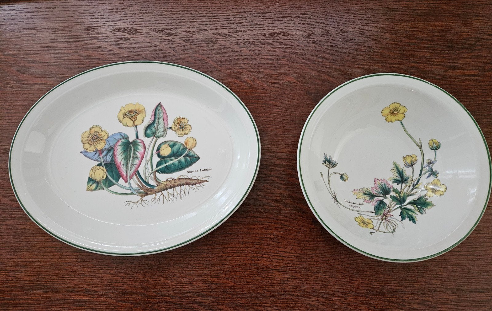 2x schaal Florabunda, Ophalen, Zo goed als nieuw, Overige materialen