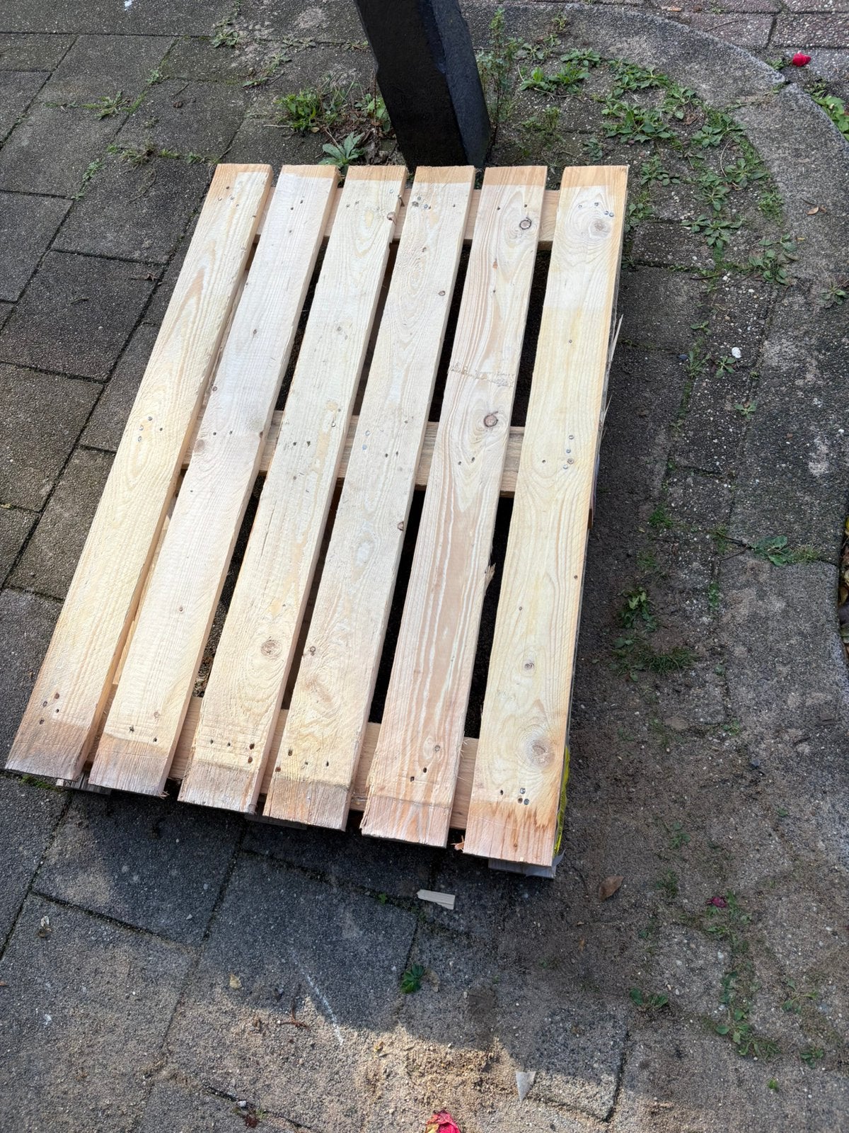 Pallet (gratis), Doe-het-zelf en Verbouw, Ophalen, Zo goed als nieuw, 50 mm of meer, Minder dan 200 cm