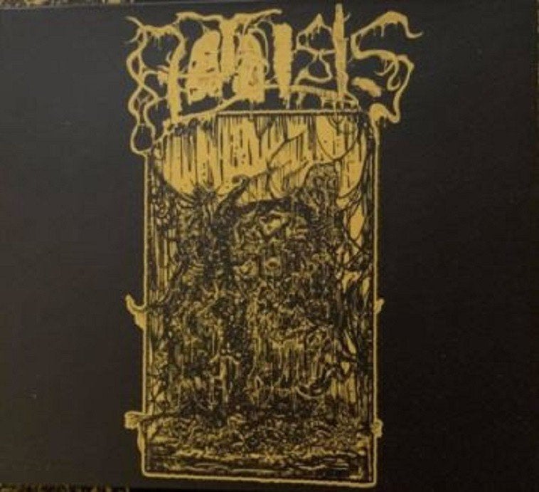 Phthisis  – Embodiment Of Decay cd death  nieuw, Ophalen of Verzenden, Death metal, Nieuw in verpakking, Digipak