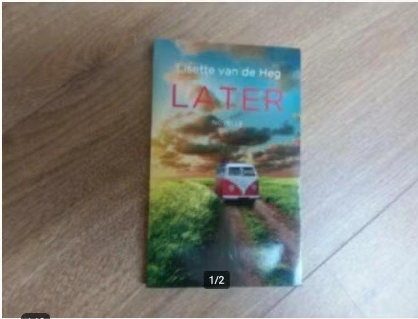 Lisette v/d Heg, Later, Ophalen of Verzenden, Zo goed als nieuw