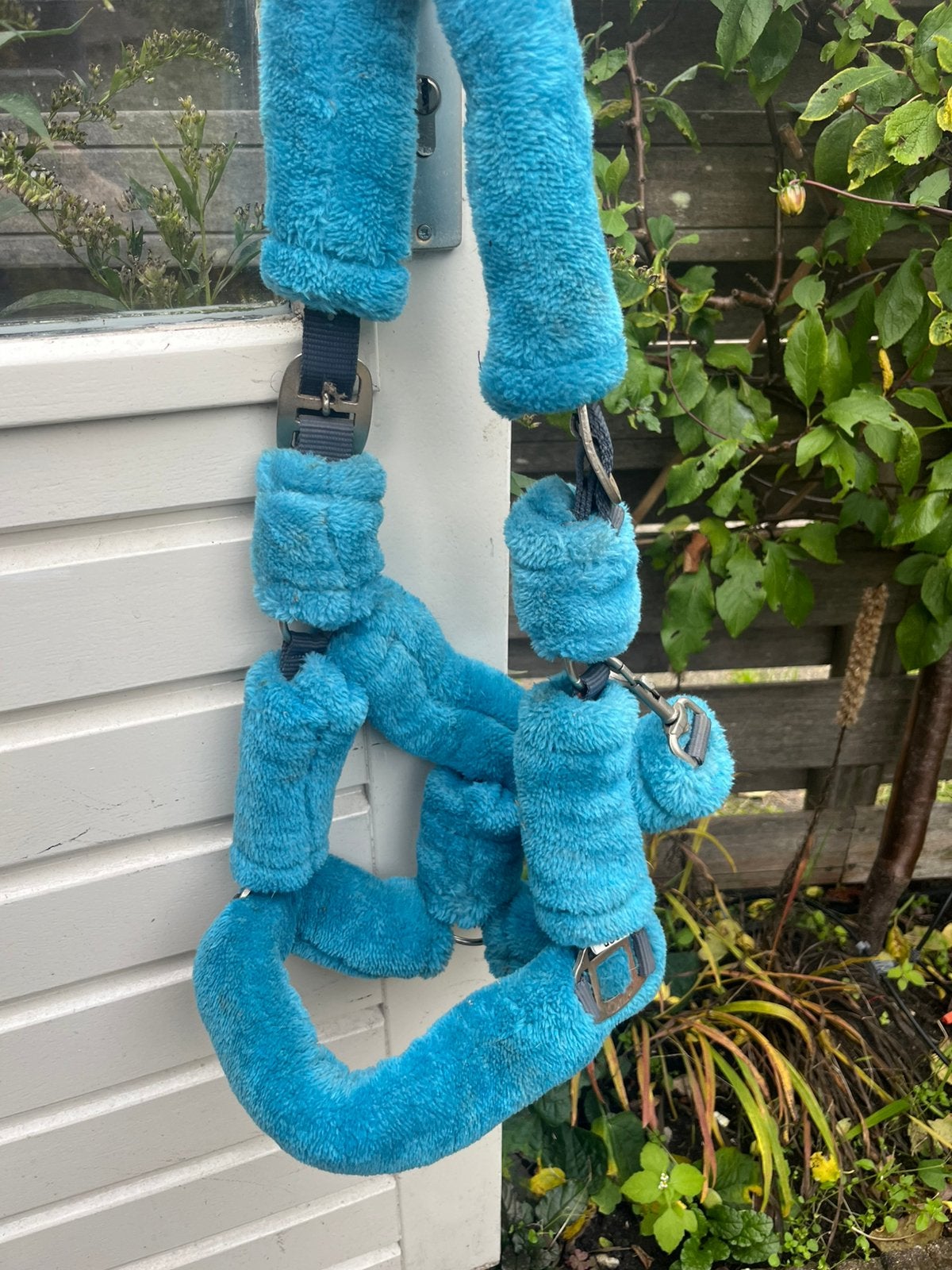 Blauw bont halster cob, Ophalen of Verzenden, Gebruikt, Blauw, Halster