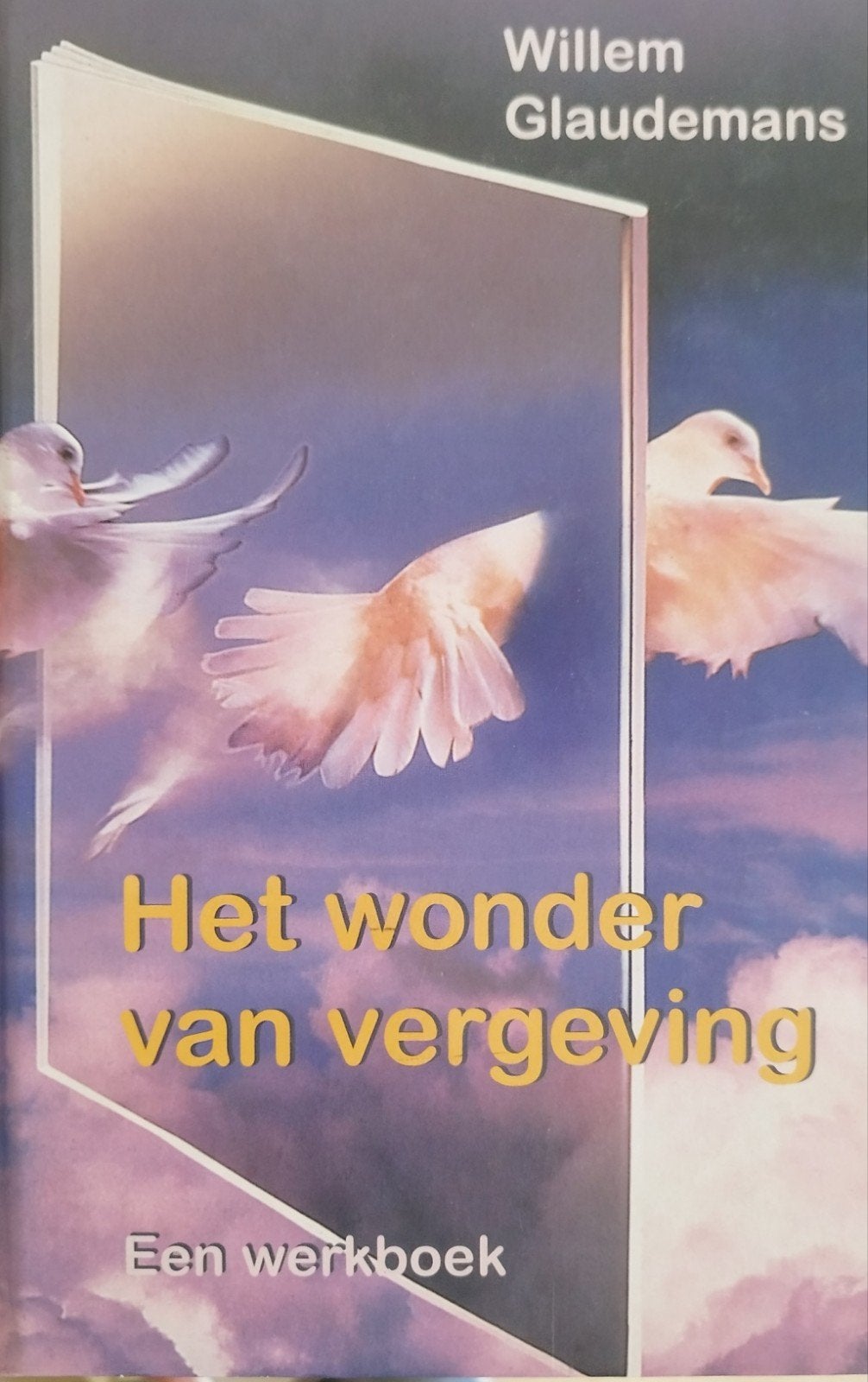 Het wonder van vergeving - Een werkboek, Boeken, Spiritualiteit algemeen, Zo goed als nieuw, Instructieboek, Willem Glaudemans