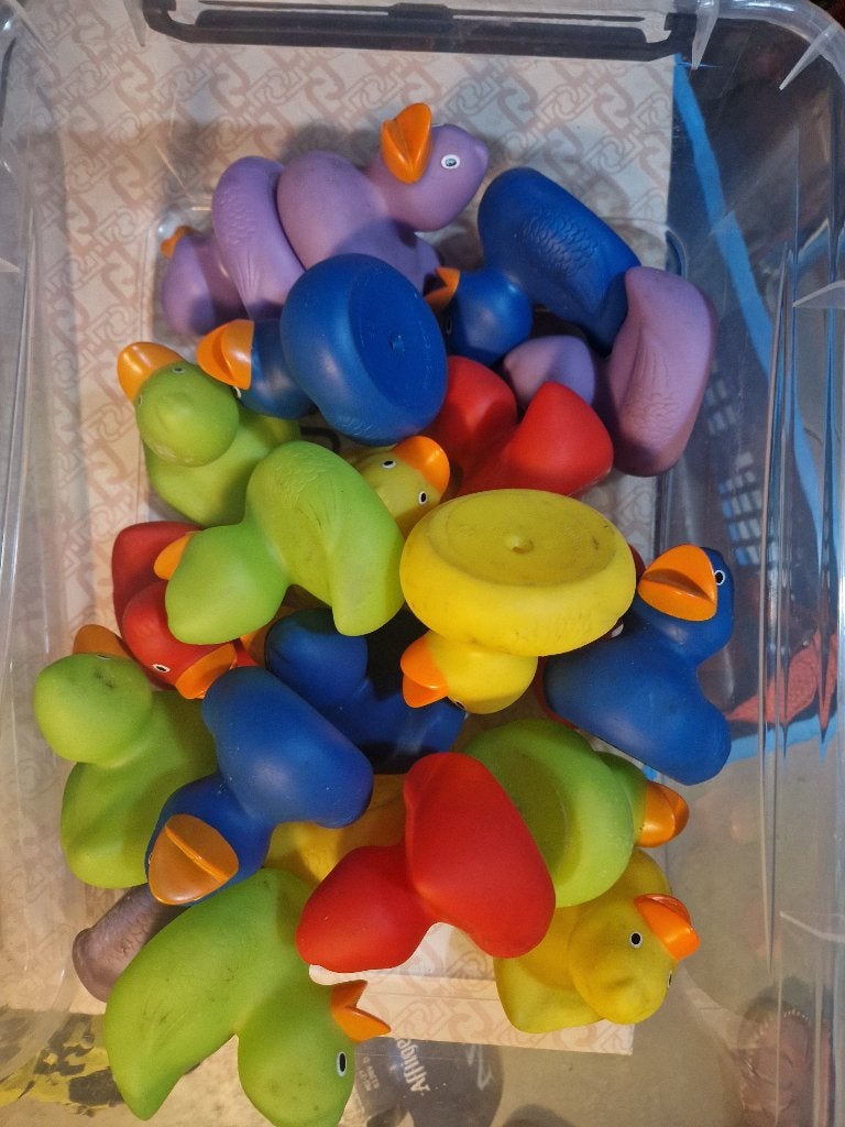 Badeendjes, Ophalen, Gebruikt