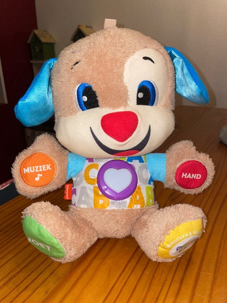 Fisher-Price leerplezier hondje, Kinderen en Baby's, Ophalen of Verzenden, Zo goed als nieuw, Duw- of Trekspeelgoed, Met licht