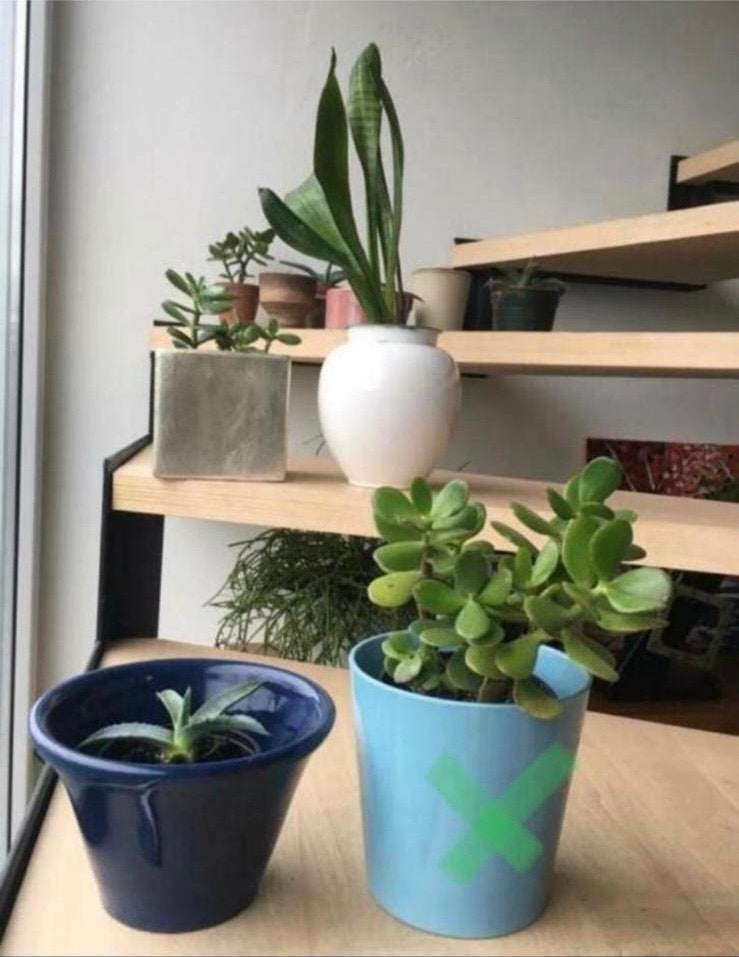 Mooie verschillende terracotta blauw geglazuurd bloempotten, Tuin en Terras, Ophalen, Rond, Binnen, Zo goed als nieuw