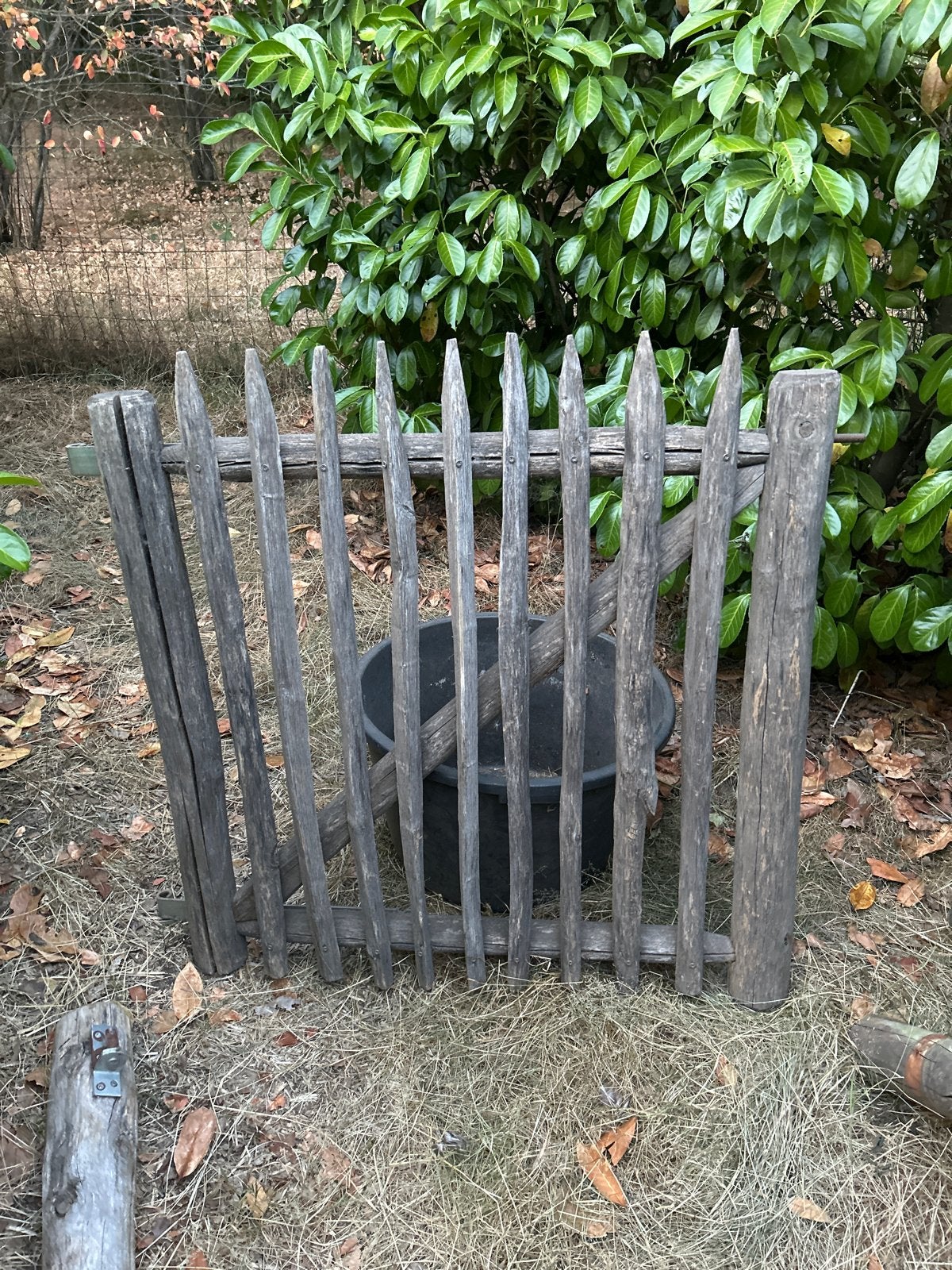 Kastanje schapenhekpoort en robinia paal, zware kwaliteit, Tuin en Terras, Tuinhekken en Hekwerk, Ophalen, Met poort, Gebruikt