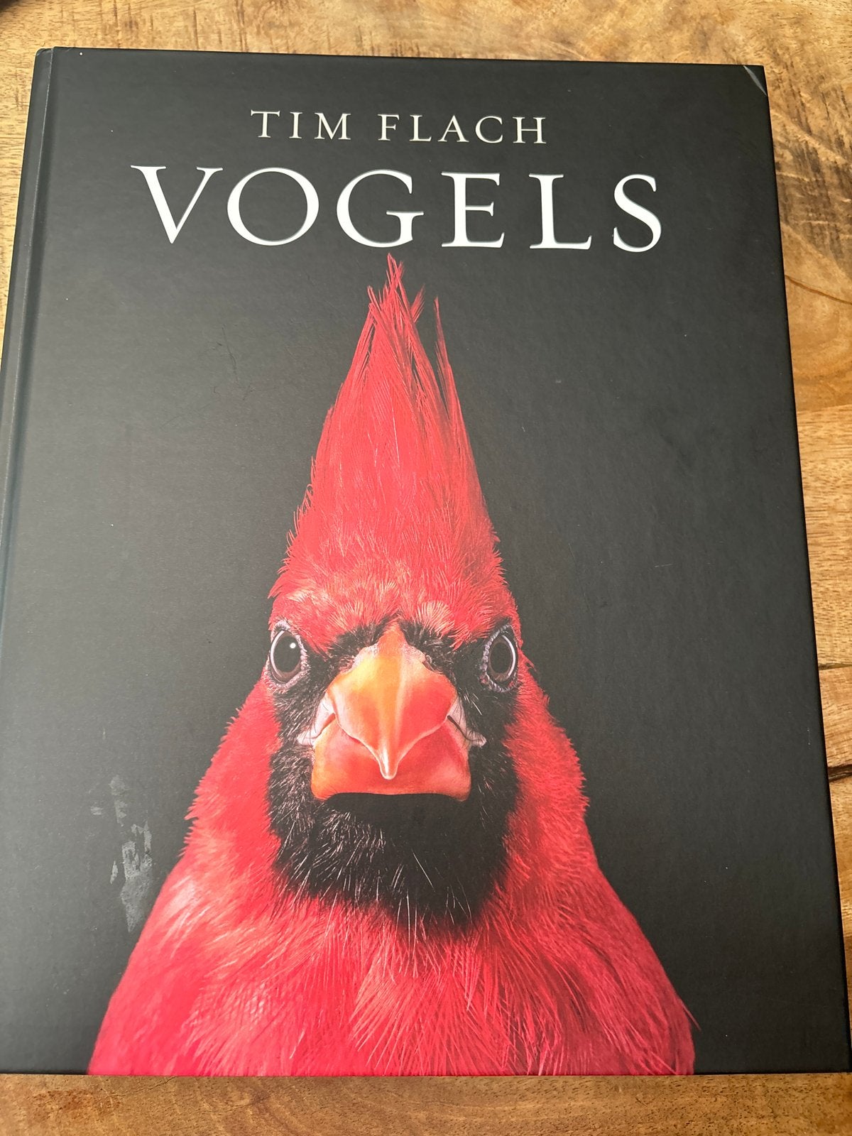 Vogels - Tim Flach - Prachtig fotoboek, Ophalen of Verzenden, Nieuw, Vogels