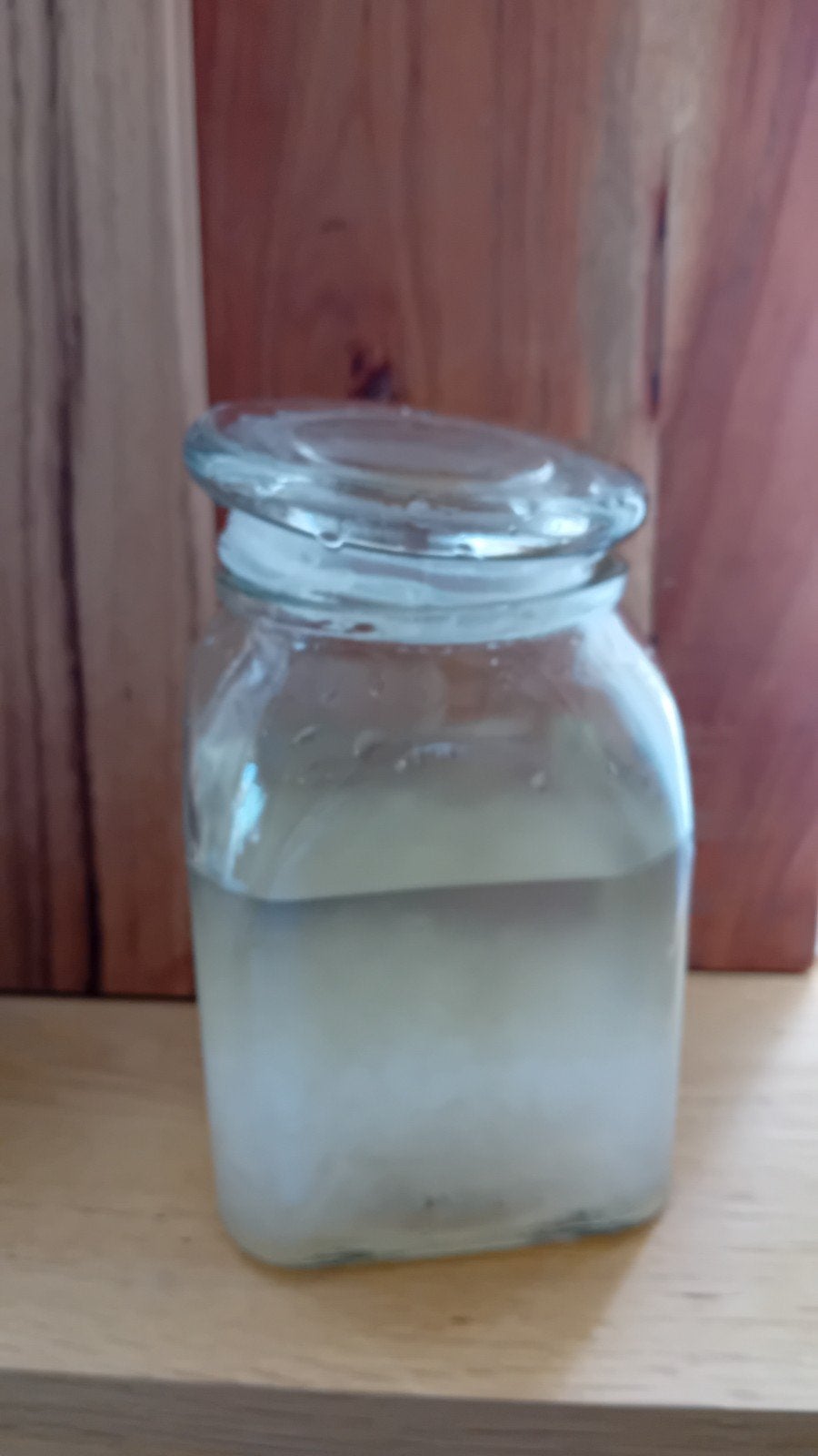 Water kefir korrels, Ophalen
