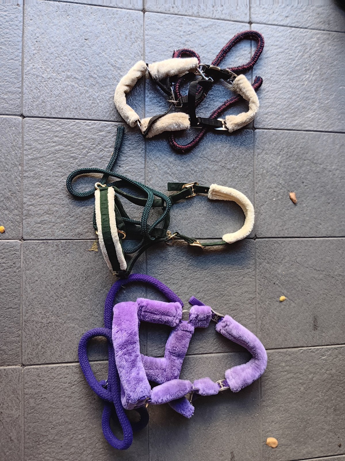 Halsters te koop, Dieren en Toebehoren, Ophalen