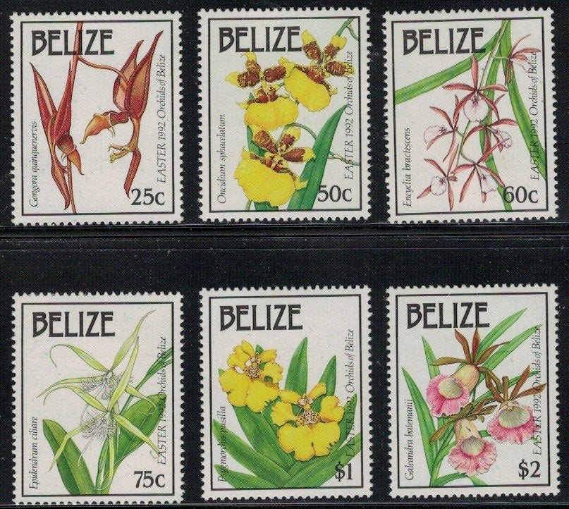 S11 Belize 1084/89 postfris Orchideeen, Verzenden, Postfris, Dier of Natuur