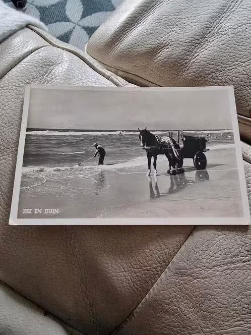 Oude fotokaart Zee en Duin paarden kar 1952, Ophalen of Verzenden