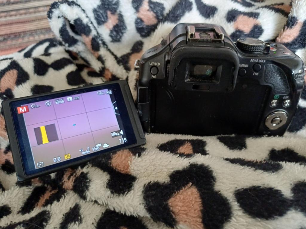 Panasonic Lumix dmc G5 (inclusief batterijen), Ophalen of Verzenden, Gebruikt, Overige Merken, Geen optische zoom