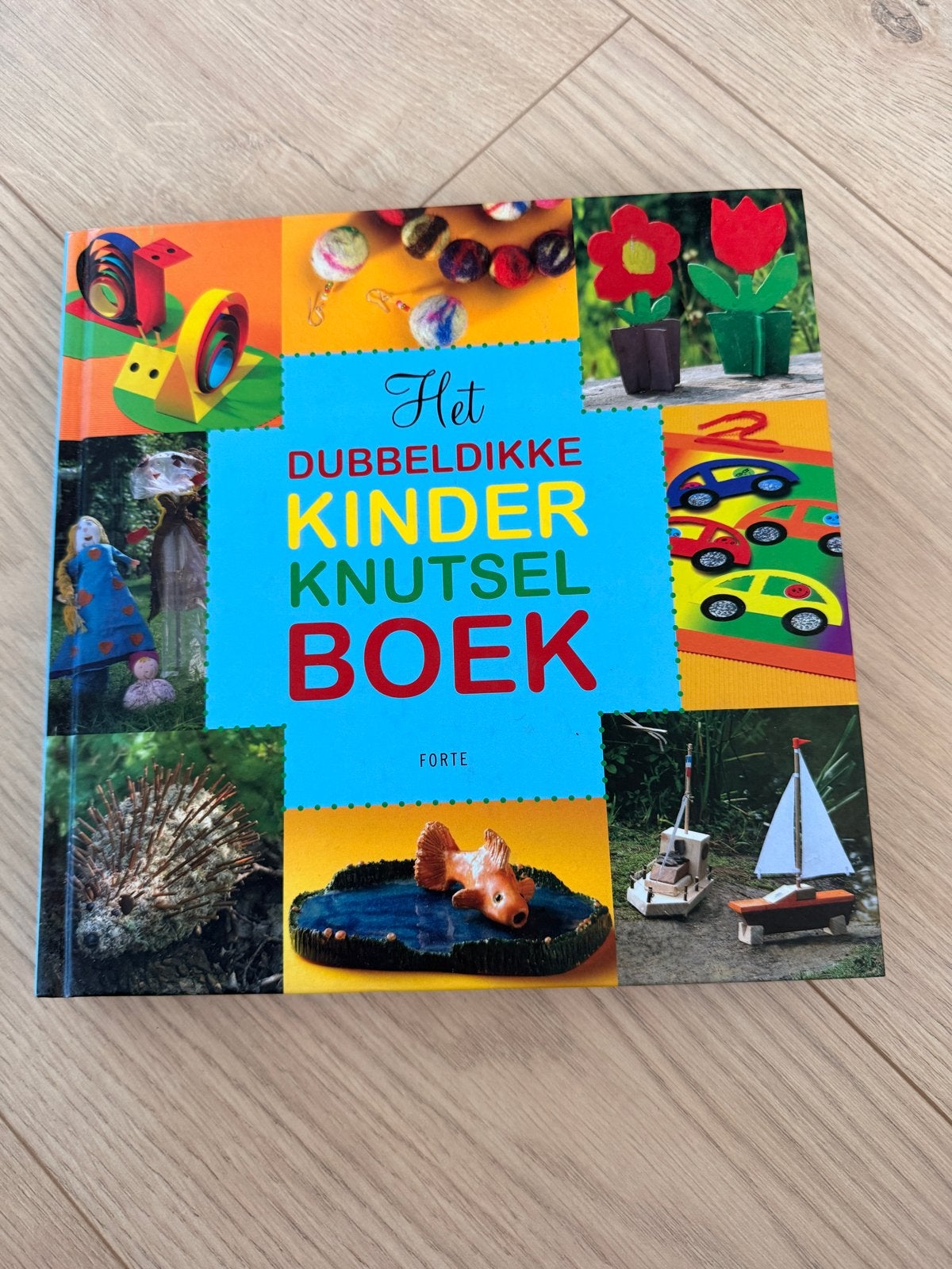 Het Dubbeldikke Kinder Knutselboek - Kastopruiming!, Ophalen of Verzenden, Gelezen, Non-fictie