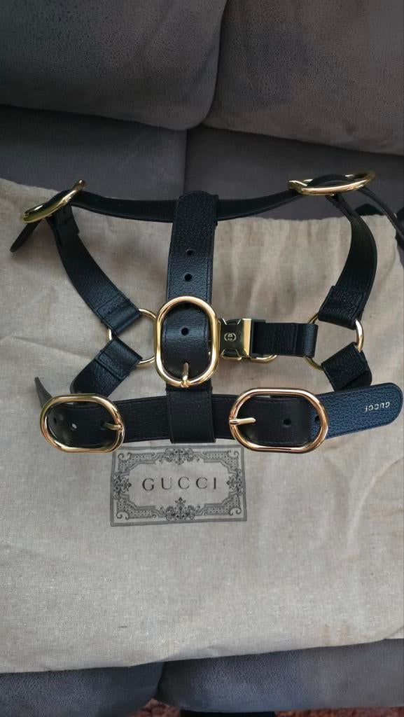 Gucci hondentuig/harnas Maat M, Dieren en Toebehoren, Ophalen of Verzenden, Nieuw