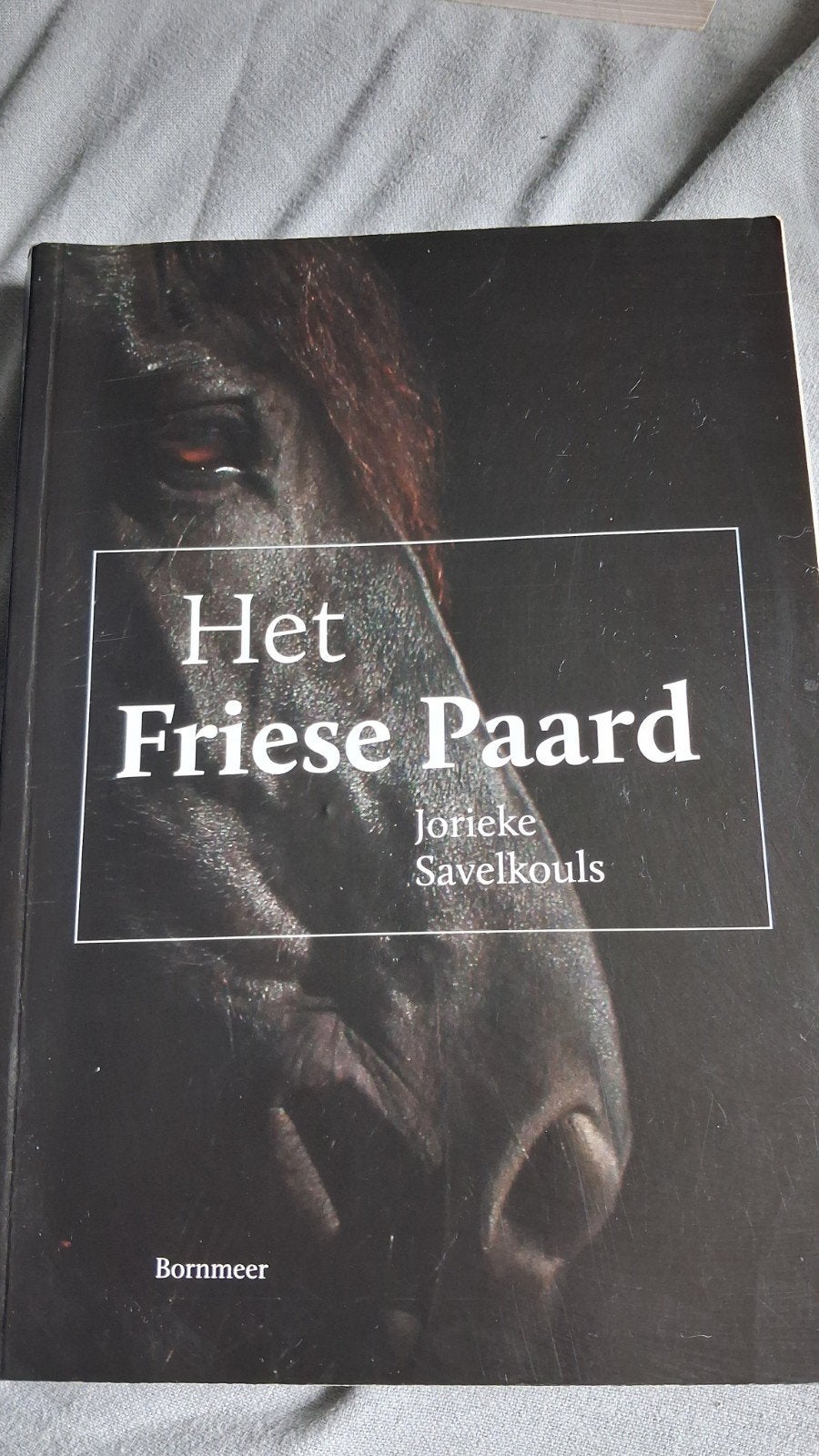Friese paard, Ophalen of Verzenden, Zo goed als nieuw, Paarden of Pony's