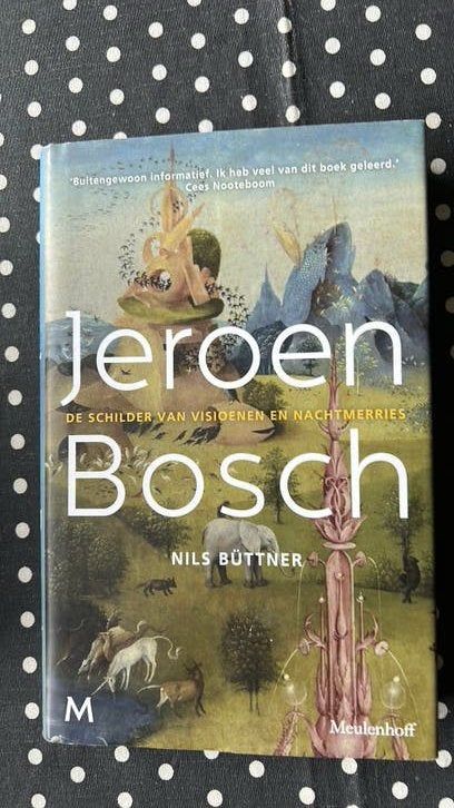 Jeroen Bosch: De schilder van visioenen en nachtmerries, Ophalen of Verzenden, Zo goed als nieuw, Schilder- en Tekenkunst