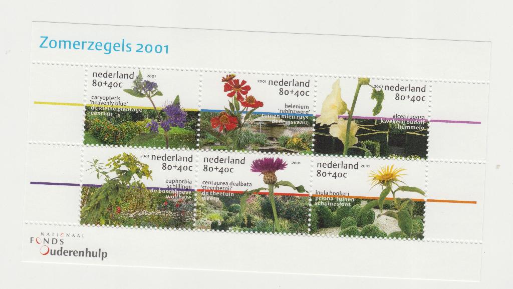 Velletje zomerzegels 2001, Ophalen of Verzenden, Postfris