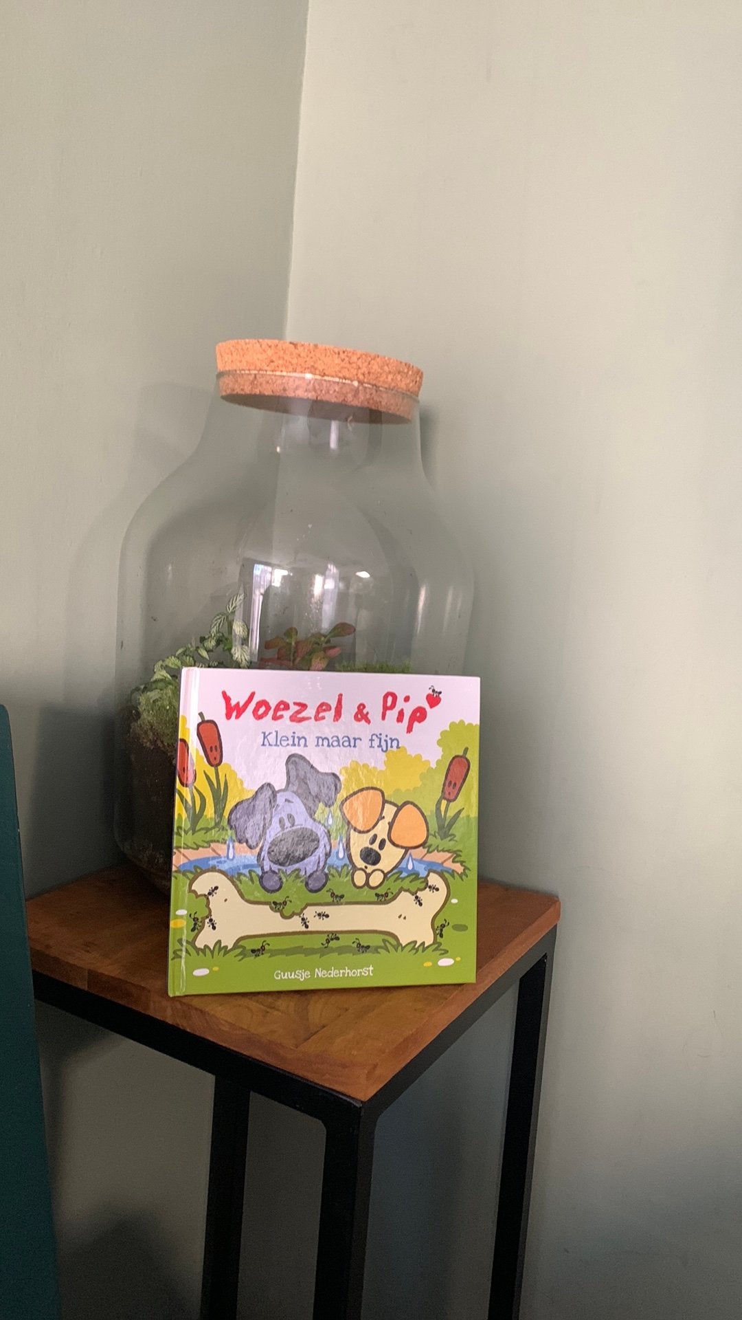 Woezel & Pip Klein maar fijn, Dieren en Toebehoren, Ophalen of Verzenden, Zo goed als nieuw