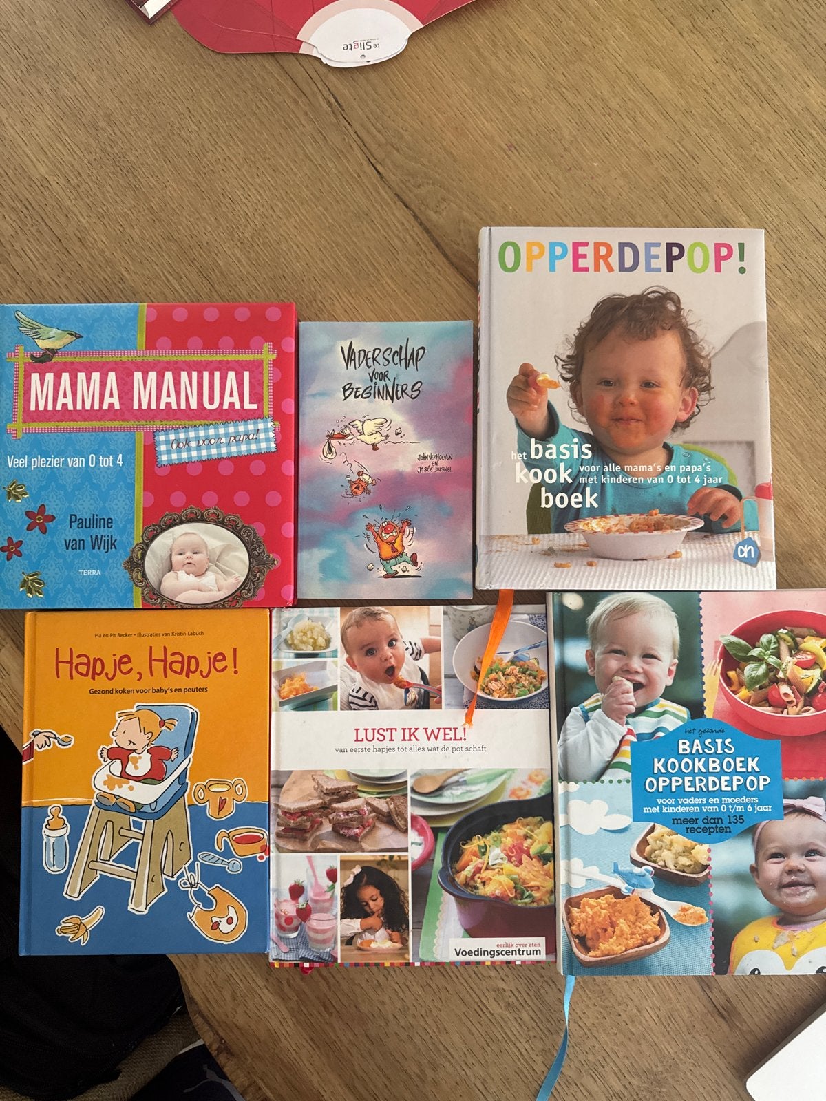 Kinderboeken: Kookboeken en handleidingen voor ouders, Ophalen of Verzenden, Gelezen, 0 tot 6 maanden