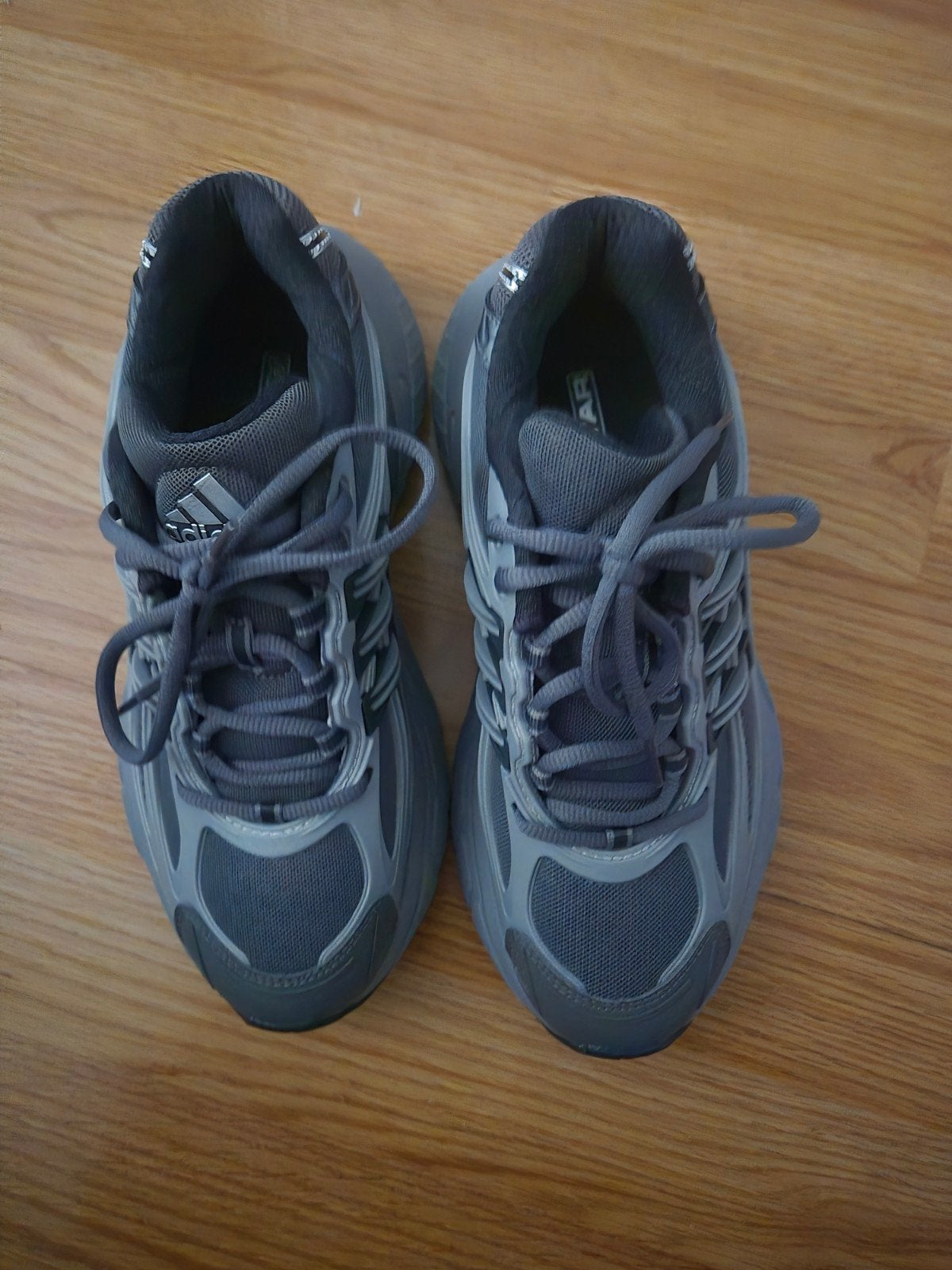 Adidas Adistar XLG 2.0, Ophalen, Adidas, Nieuw, Sneakers of Gympen