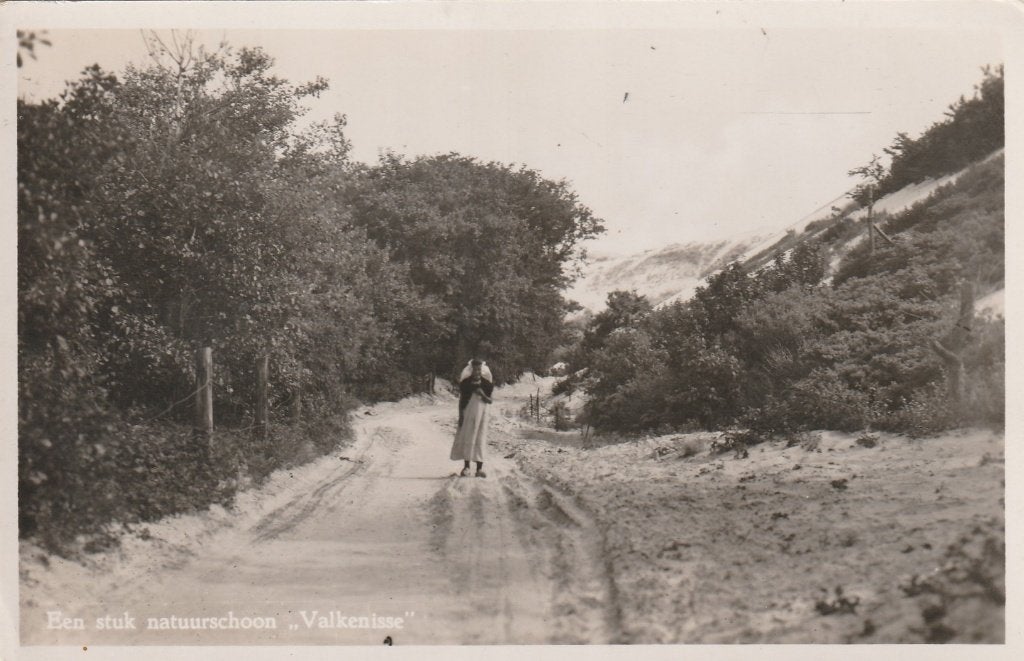 VALKENISSE Natuurschoon Klederdracht, Verzamelen, Verzenden, 1920 tot 1940, Ongelopen, Zeeland
