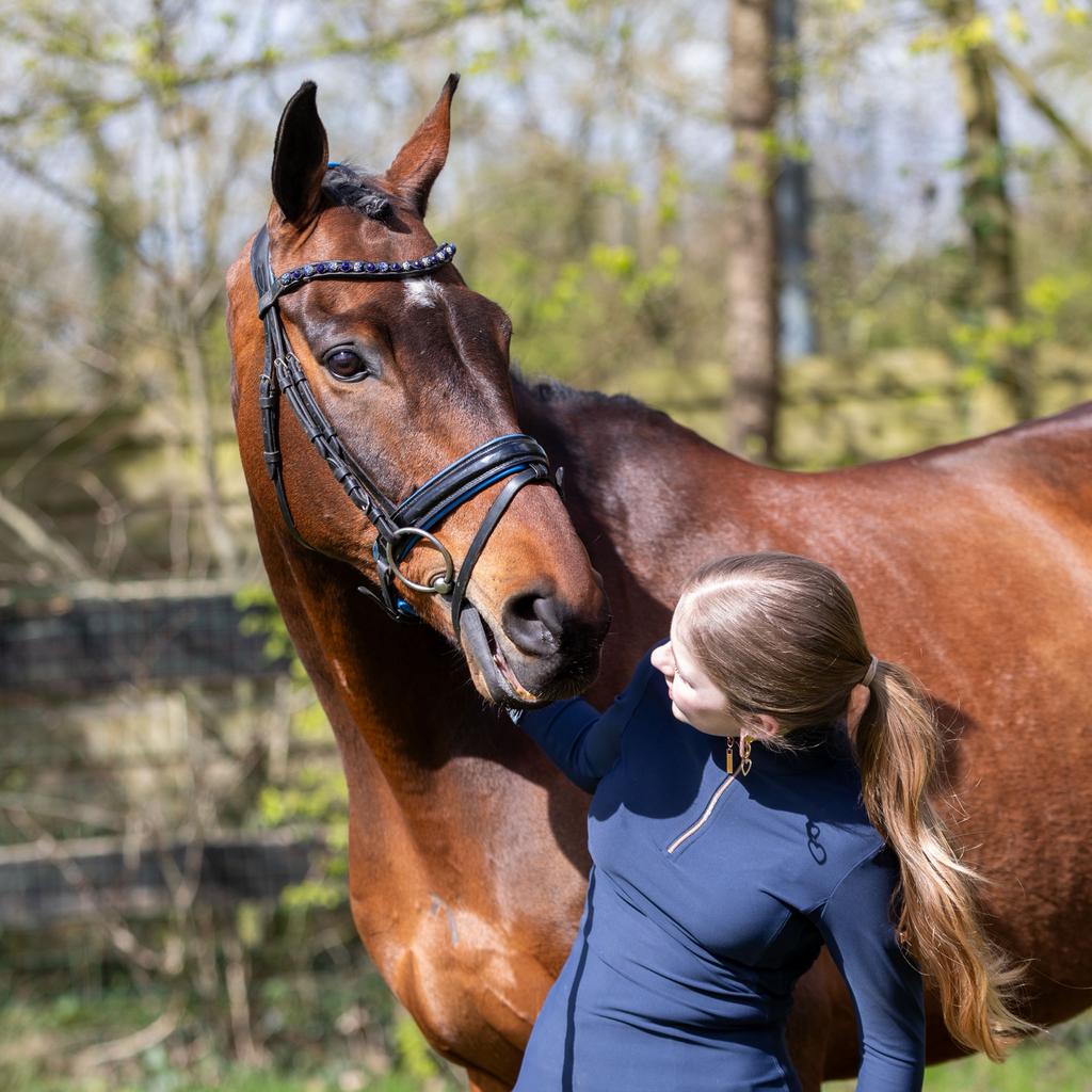 PAARDENPLEZIER IN EDE!  lease /rijles