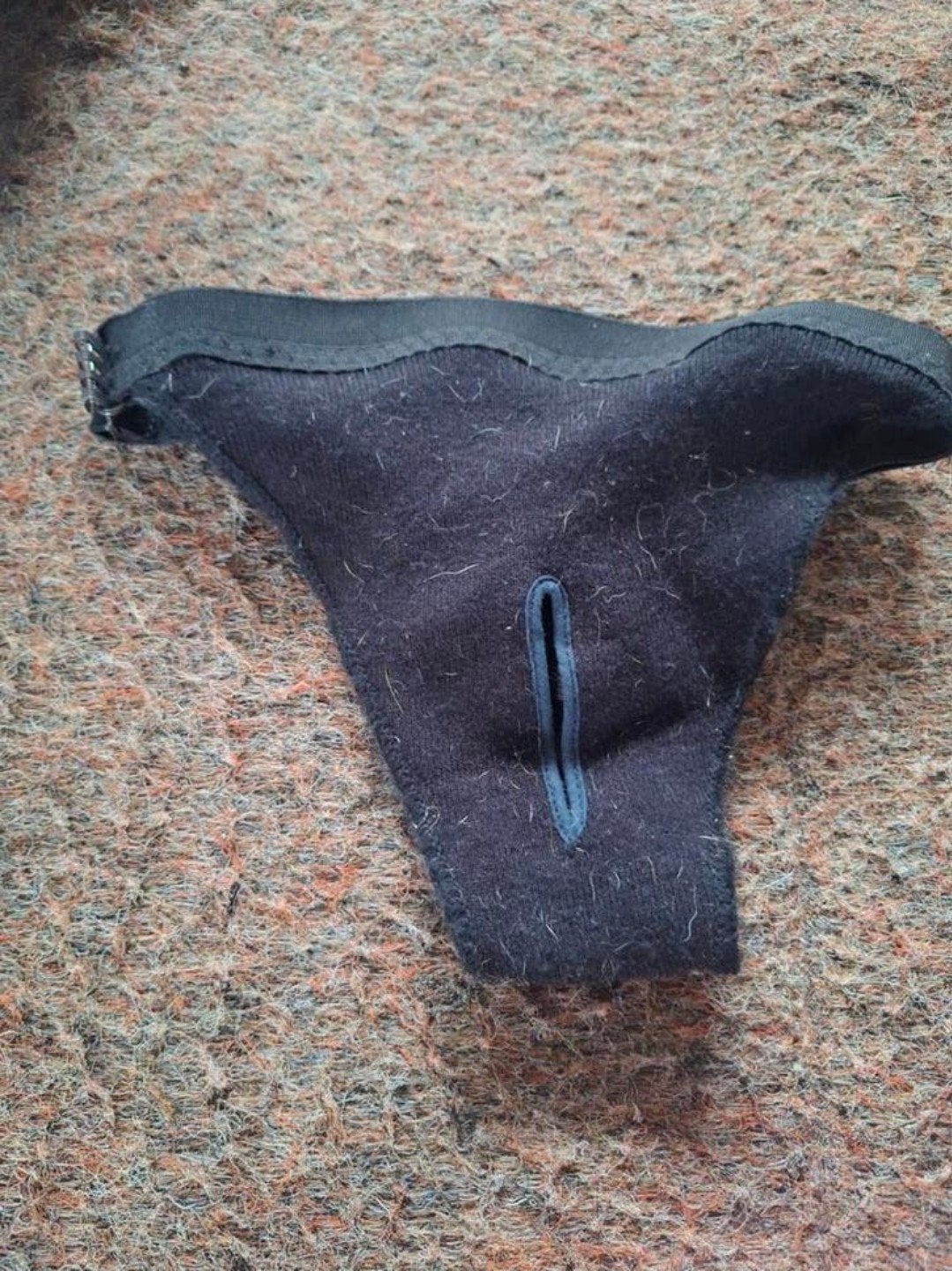 Incontinentie broekje middelgrote hond, Ophalen of Verzenden, Gebruikt, Overige typen